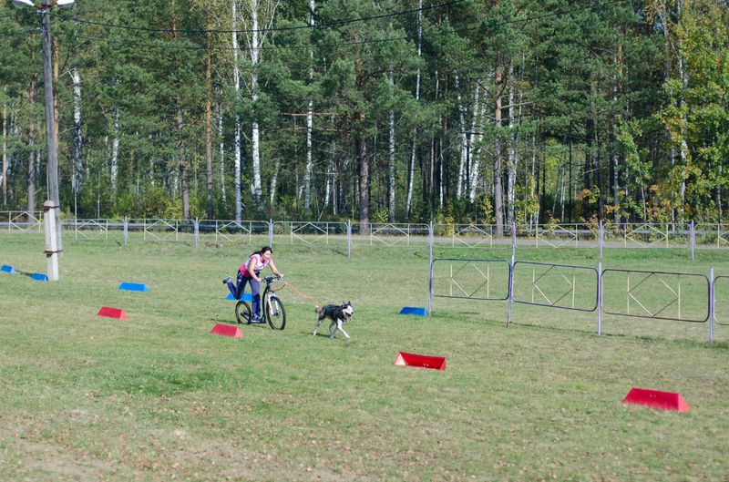 драйленд томск