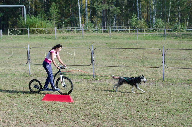 драйленд томск