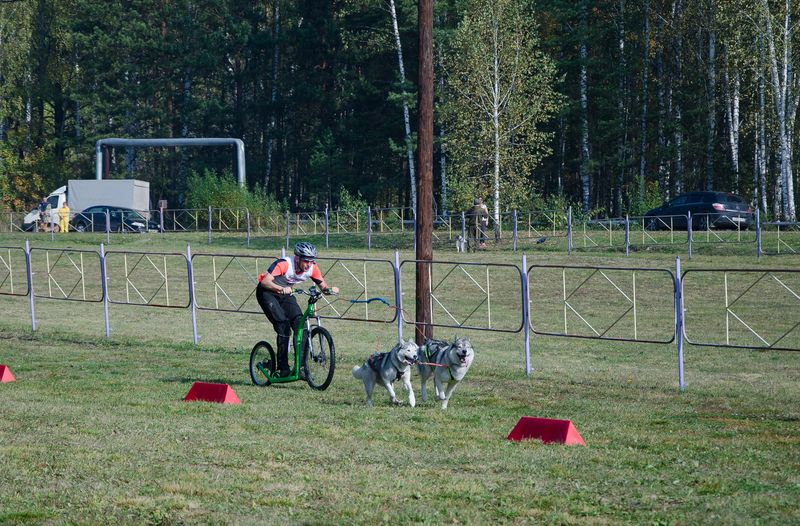 драйленд томск