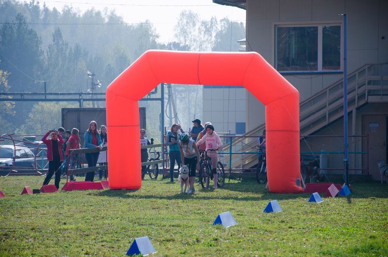 драйленд томск