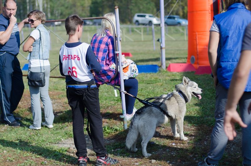 драйленд томск