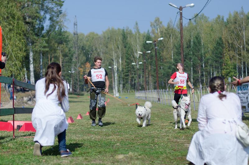 драйленд томск