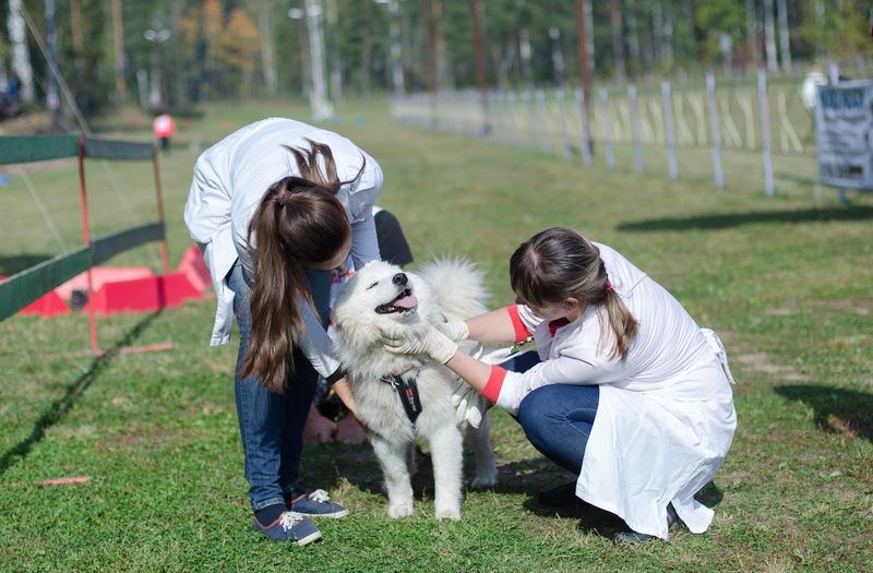 драйленд томск