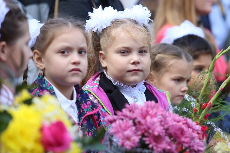 Школа в пирогово