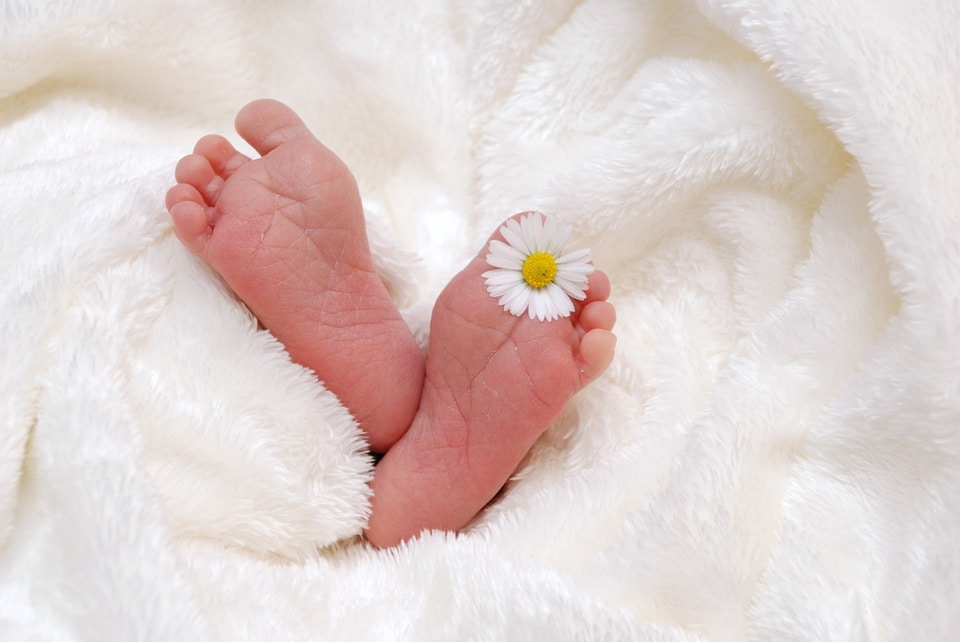 Медицина и здоровье, Томские новости, двойняшки двойня роды родить ребенка В июне в томских роддомах родилось рекордное число двойняшек