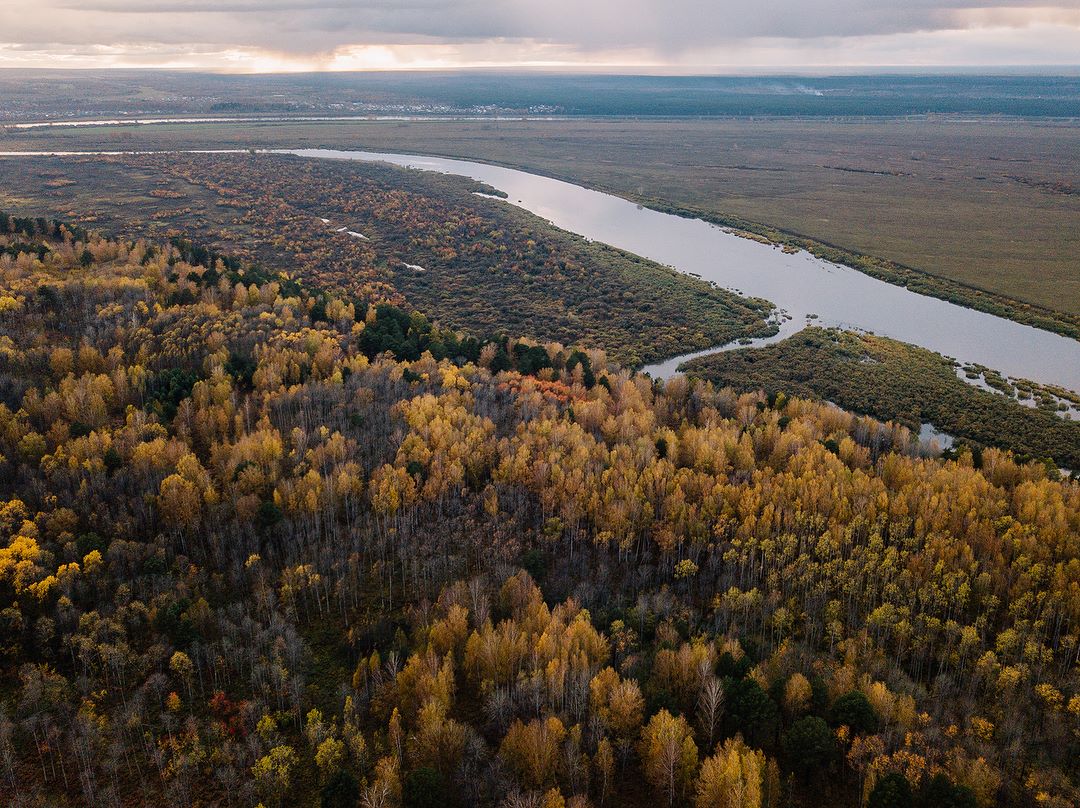 Судебные дела, Томские новости, лес высадка леса лесопосадка деревья восстановление По решению суда в одном из лесничеств Томской области высадили деревья на 15 тыс. гектаров