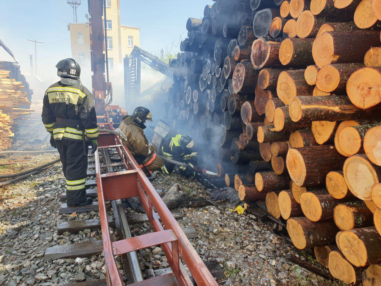 Безопасность, Томские новости, пожары безопасность не горят леса штабеля происшествия Прокуратура и МЧС начали проверки лесопромышленных предприятий после пожаров на лесопилках
