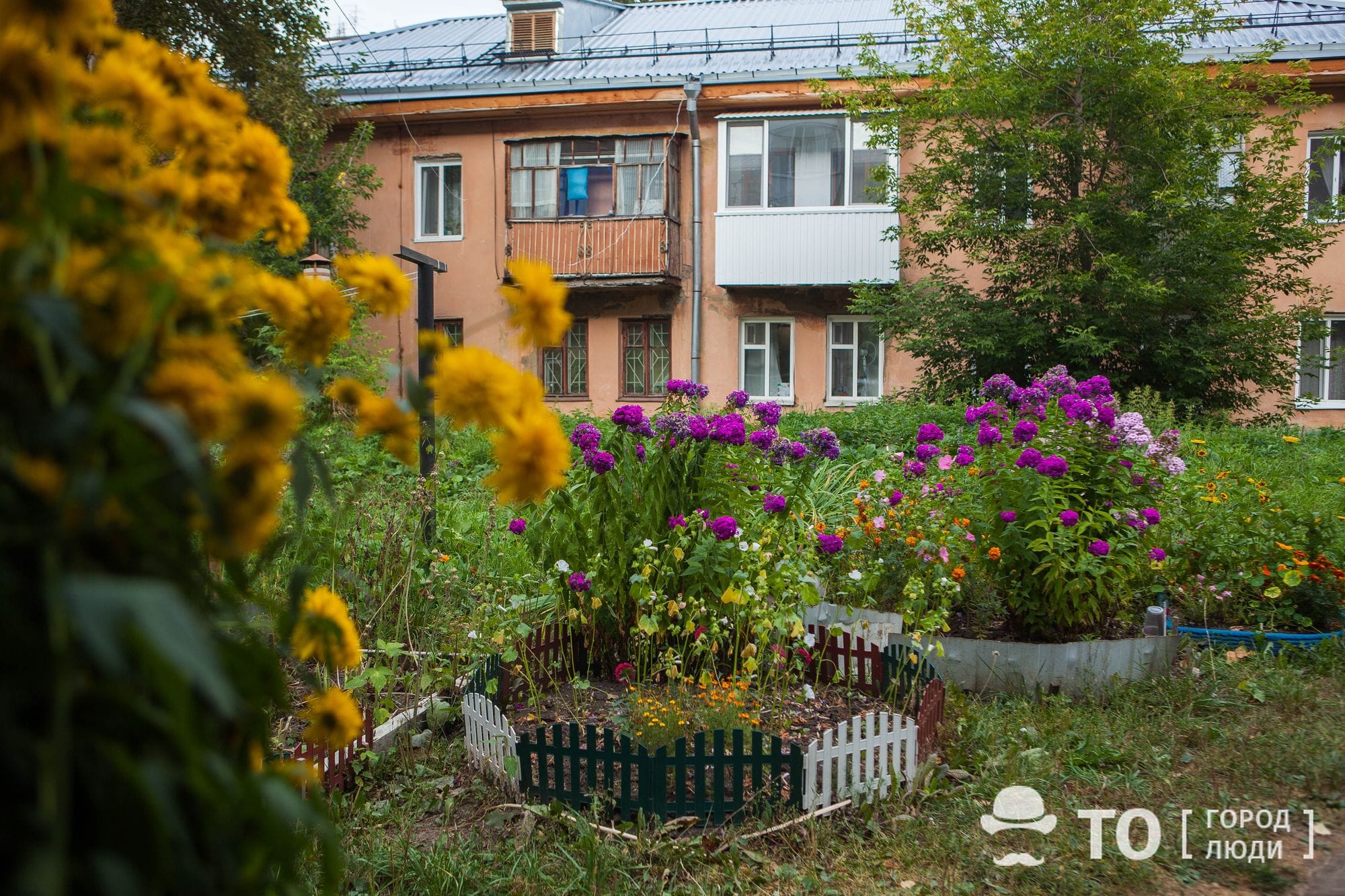 Висячие сады. Томичка создала удивительный цветник на балконе - Люди -  Томский Обзор – новости в Томске сегодня