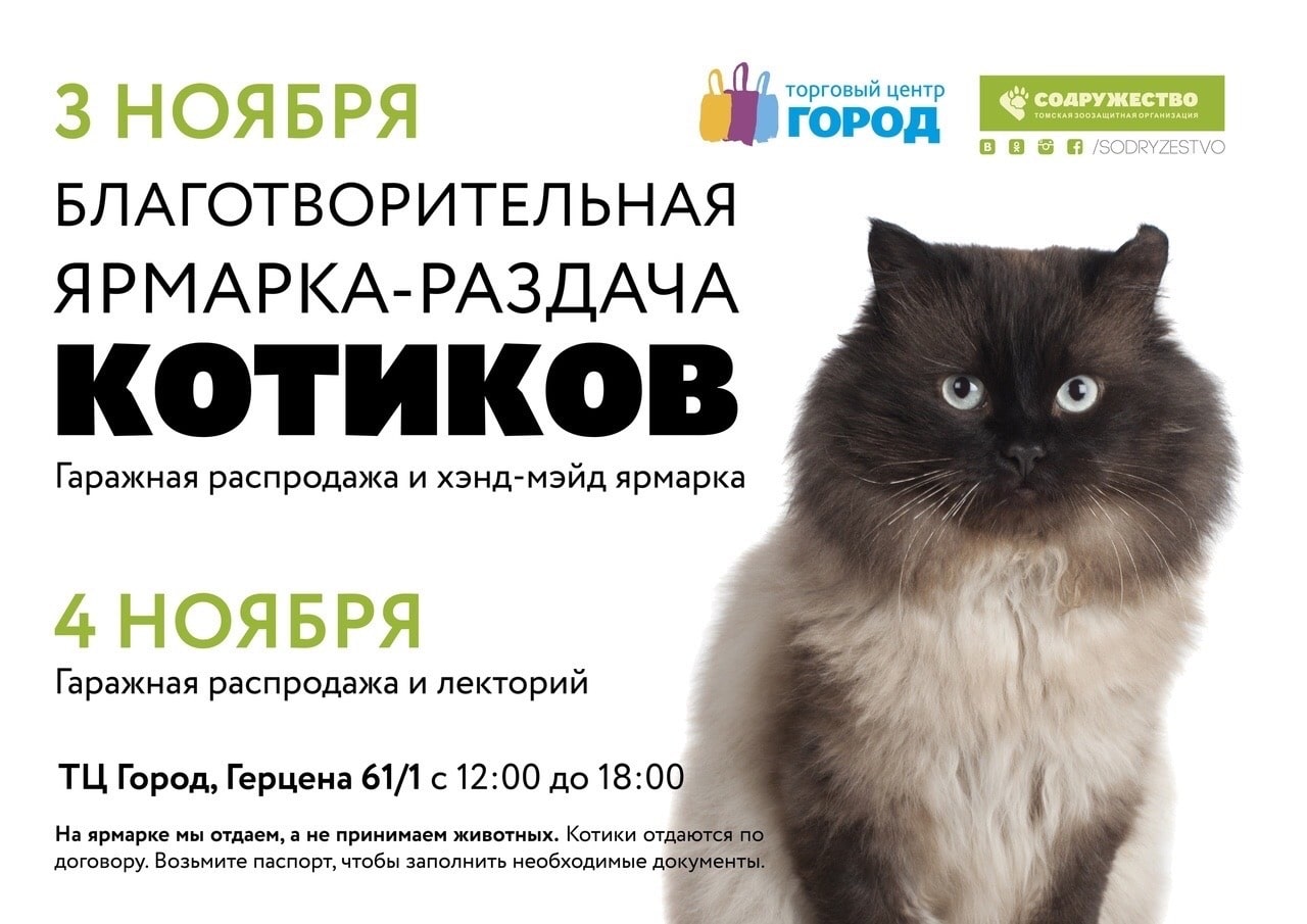 Благотворительность, Конкурсы и акции, Томские новости, распродажа гаражные животные помощь котикам собачкам найти кота подобрать кота Томичей приглашают на гаражную распродажу в помощь бездомным животным