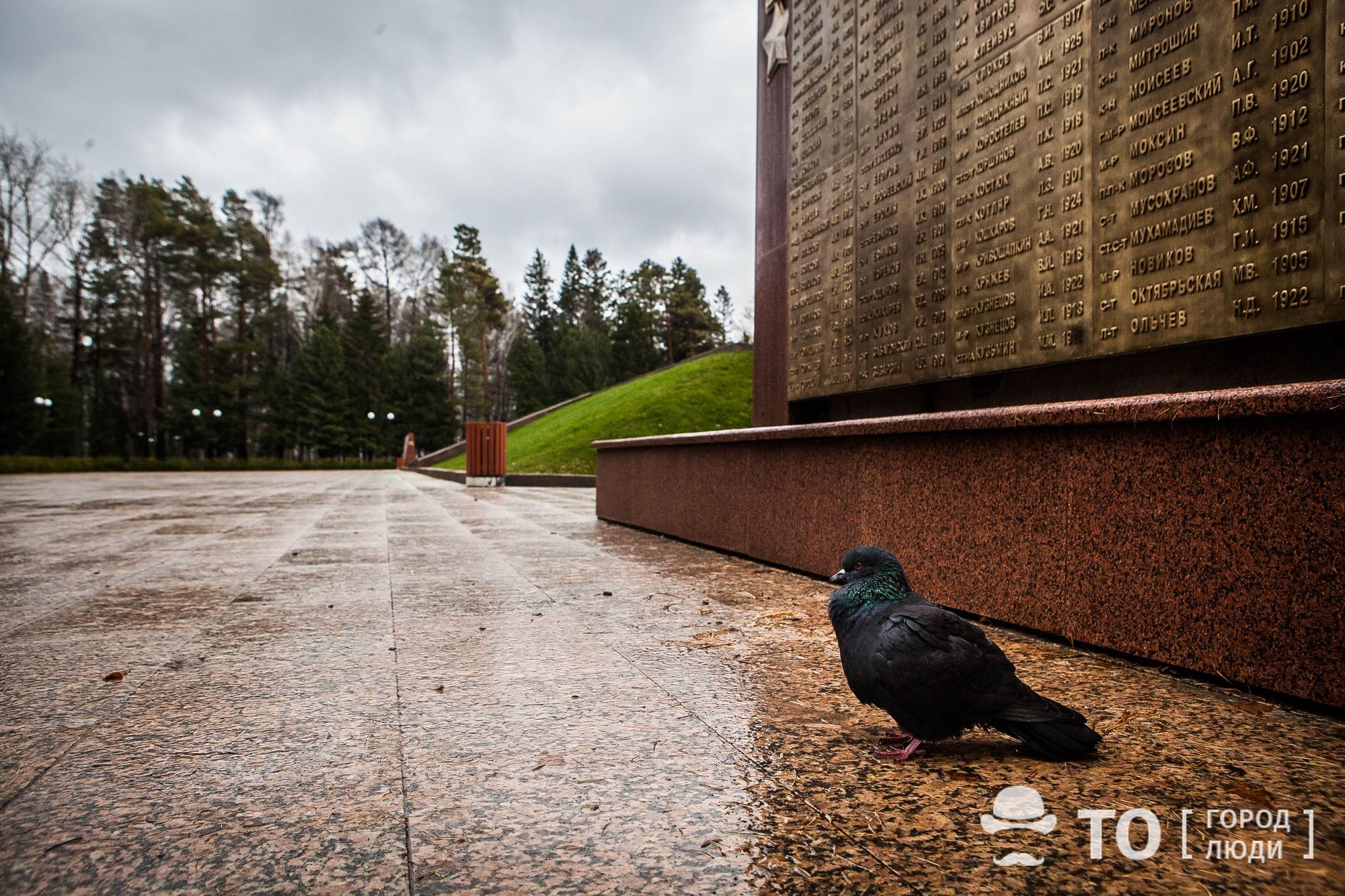 Город, Томские новости, голуби кормить птиц запрещено можно ли кормить голубей птицы в общественных местах Несмотря на морозы томичам советуют не кормить голубей в общественных местах