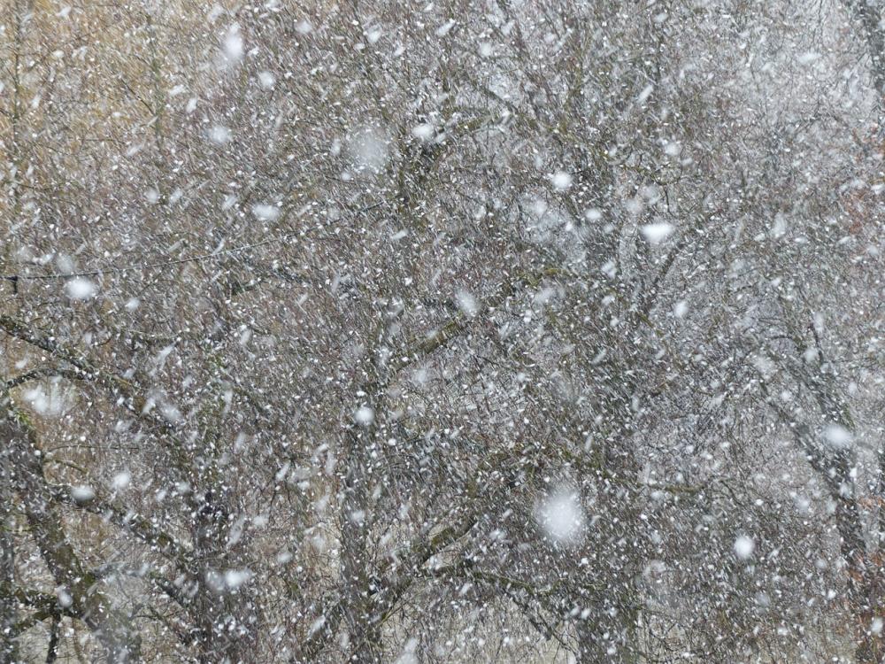 Погода и природа, Томские новости, Томск погода метель снег гололед заносы Метели и гололед ожидаются в Томске и области