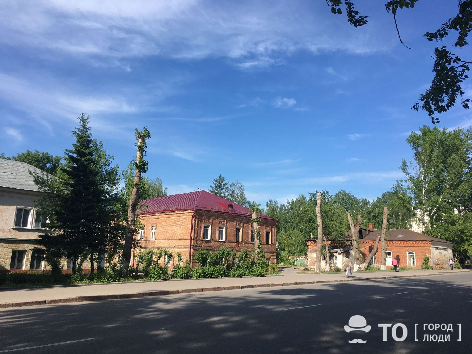 Арборист Дмитрий Звонка: «После обрезки деревья гниют» - Город - Томский  Обзор – новости в Томске сегодня