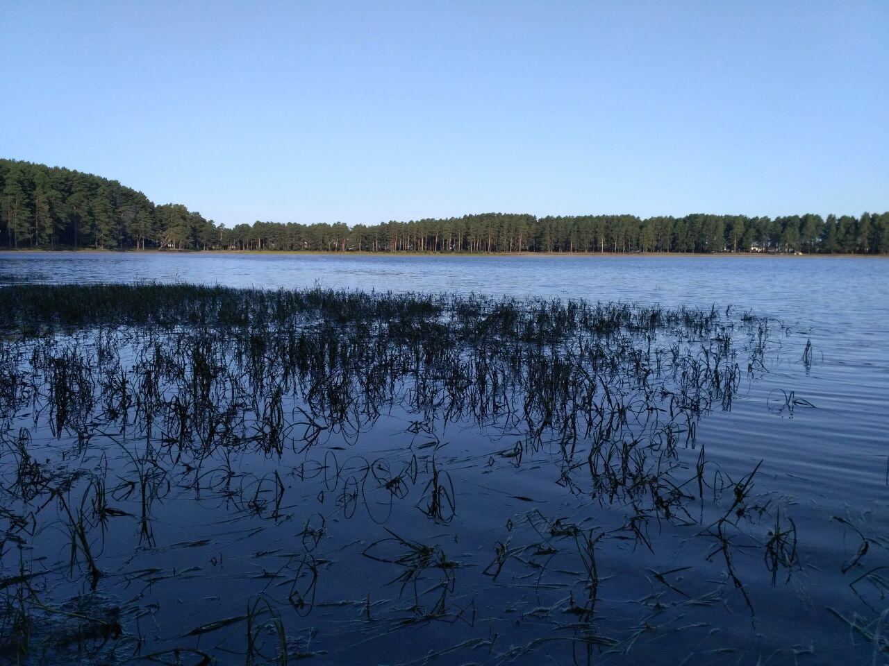Томские новости, Экология, самусь озеро экология томск Жители Томской области создали петицию в защиту озера в поселке Самусь