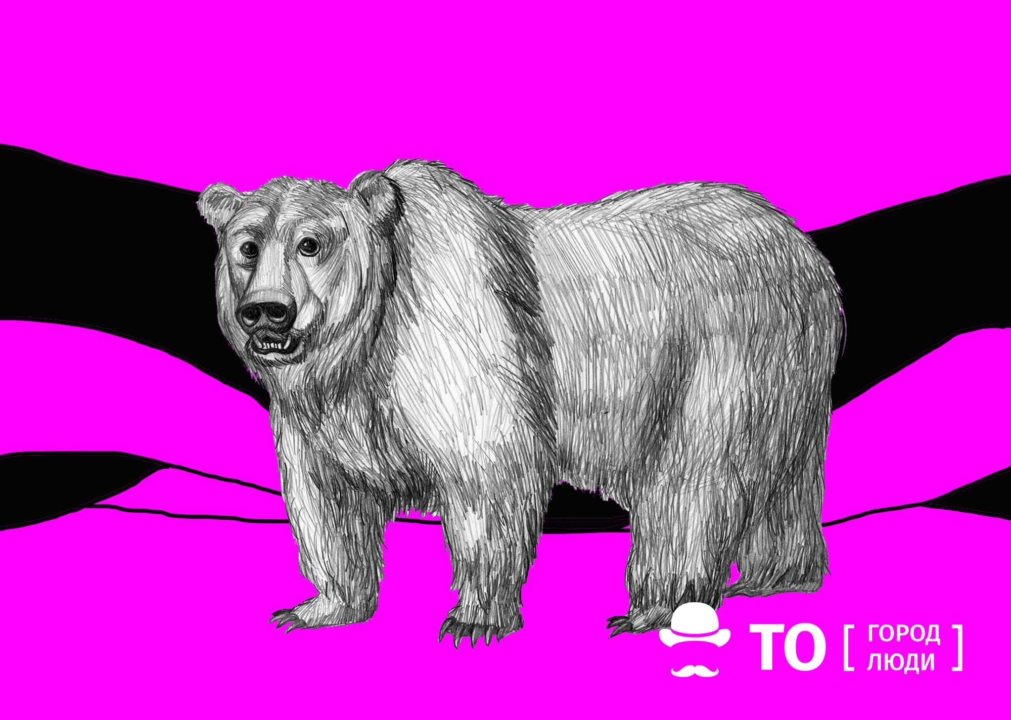 Безопасность, В мире животных, Природа, Томские новости, медведь нападени мусор интересные новости Томска баки Медведь повадился кормиться из мусорных контейнеров в селе под Томском