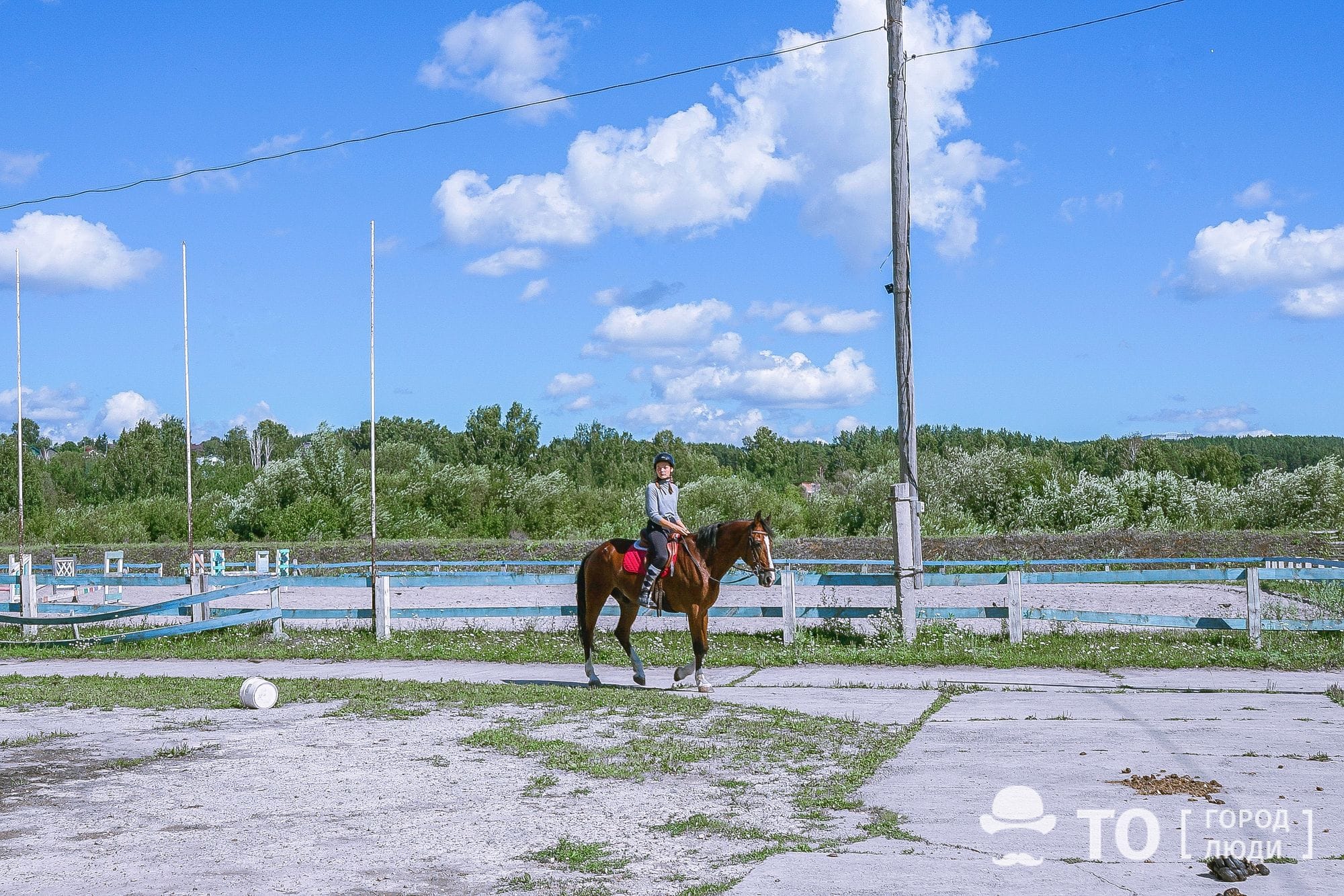 Поскакали! Обзор конных клубов Томска - Город - Томский Обзор – новости в  Томске сегодня