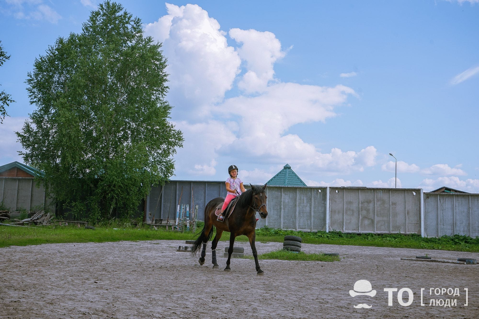 Поскакали! Обзор конных клубов Томска - Город - Томский Обзор – новости в  Томске сегодня