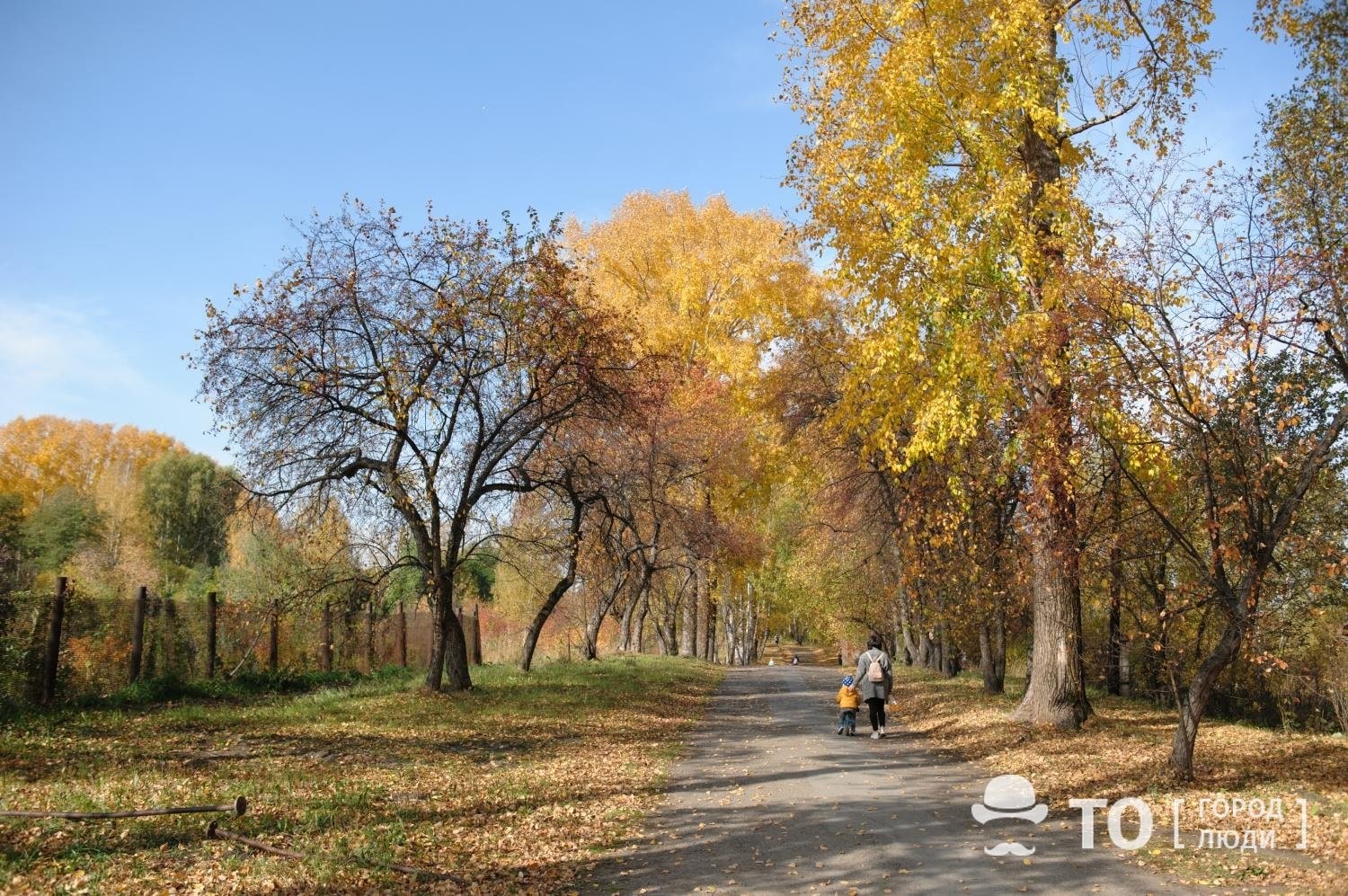 Зелень в городе. Ботанический сад на Мокрушина - Жизненное пространство -  Томский Обзор – новости в Томске сегодня