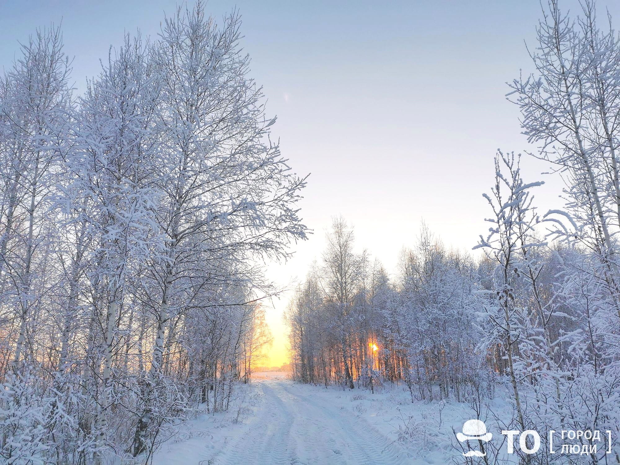 Погода и природа, Стихия в Томске и области, Томские новости, погода в Томске мороз холод понижение температуры замерзли прогноз погоды на завтра Завтра томичей ждут сильные морозы