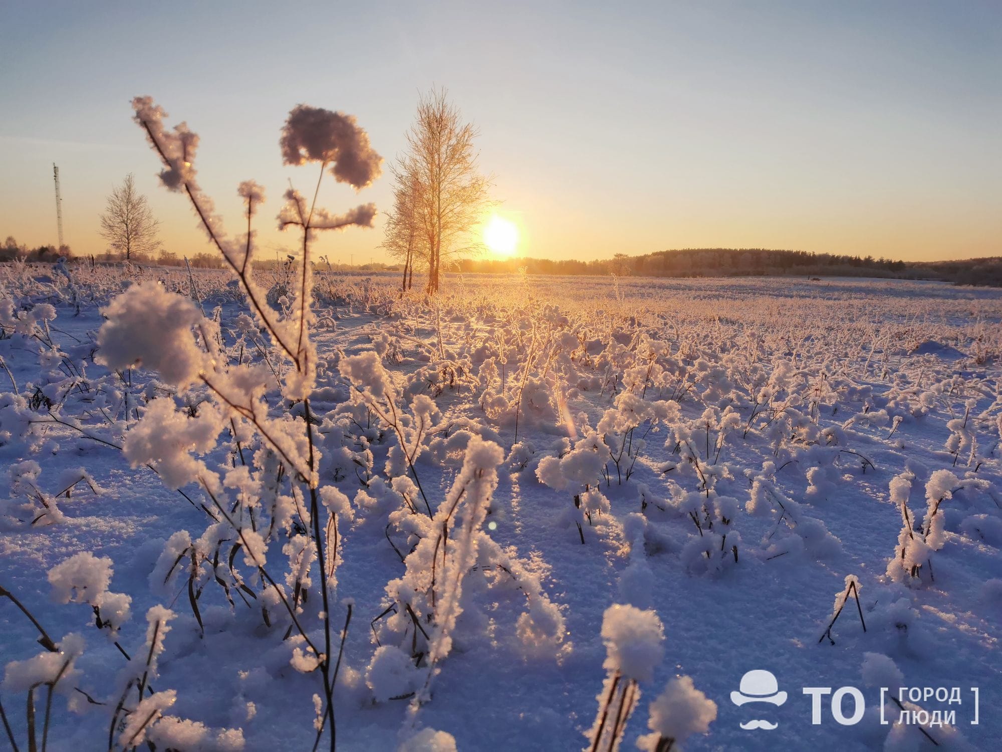 Погода и природа, Стихия в Томске и области, Томские новости, морозы холод аномальные морозы остыли прогноз погоды погода на завтра когда закончатся морозы На днях томичей вновь ожидают аномальные морозы