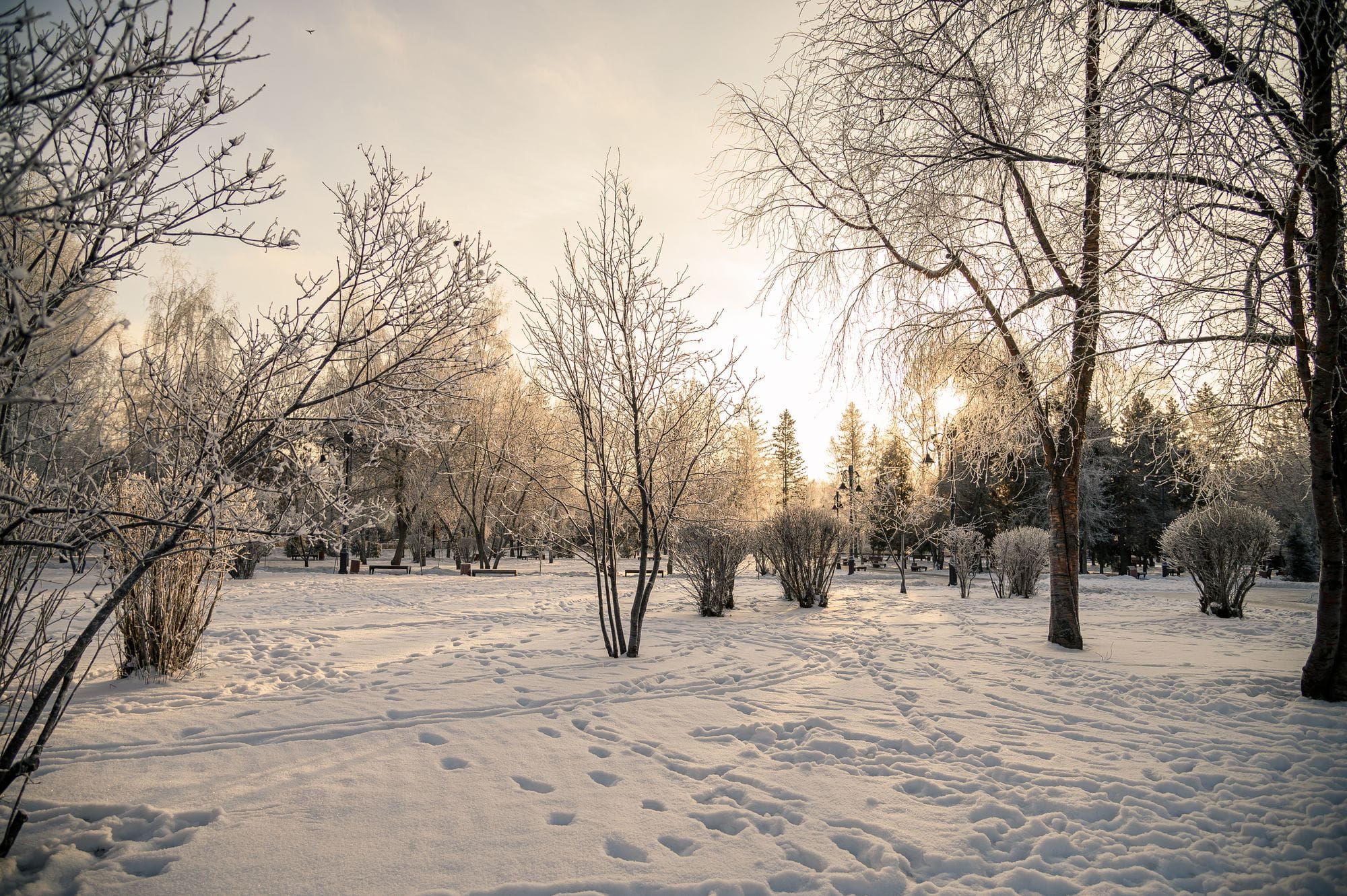 Погода и природа, Стихия в Томске и области, Томские новости, морозы холод аномальные морозы остыли прогноз погоды погода на завтра когда закончатся морозы Сильные морозы ожидаются в Томской области в третьей декаде января