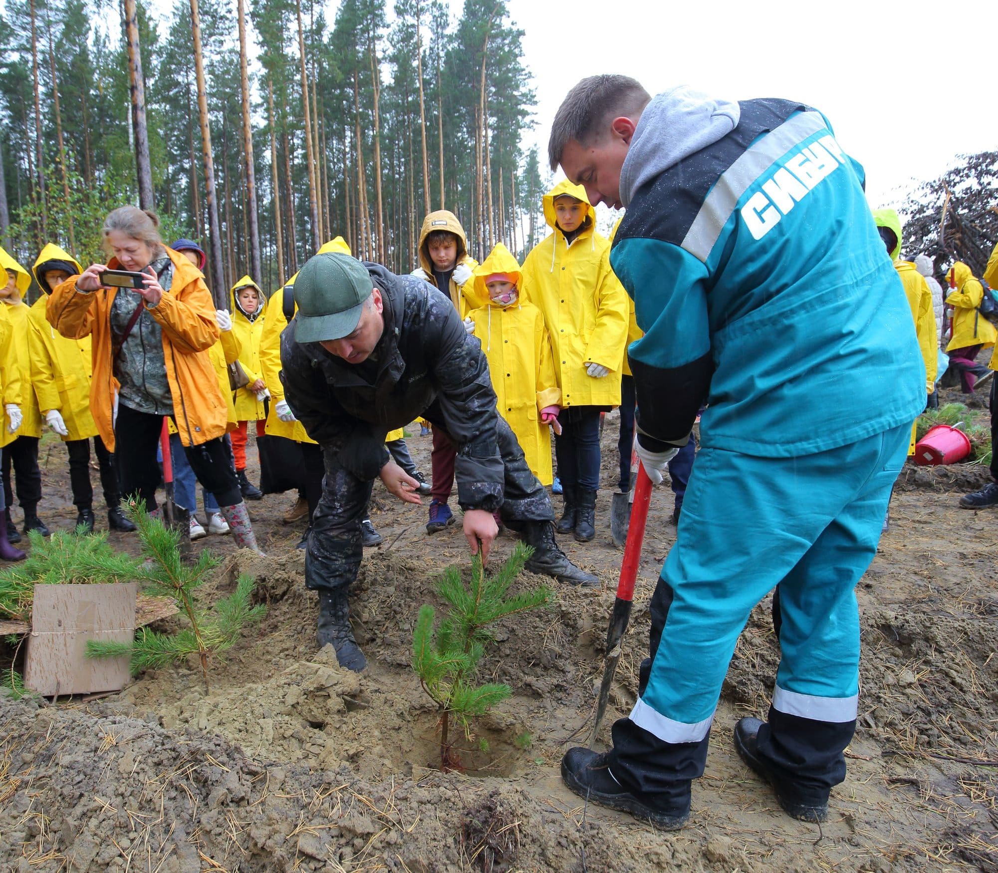 Зелень в городе, Томские новости, СИБУР, волонтеры и партнеры высадили 3 000 сосен в томском лесу