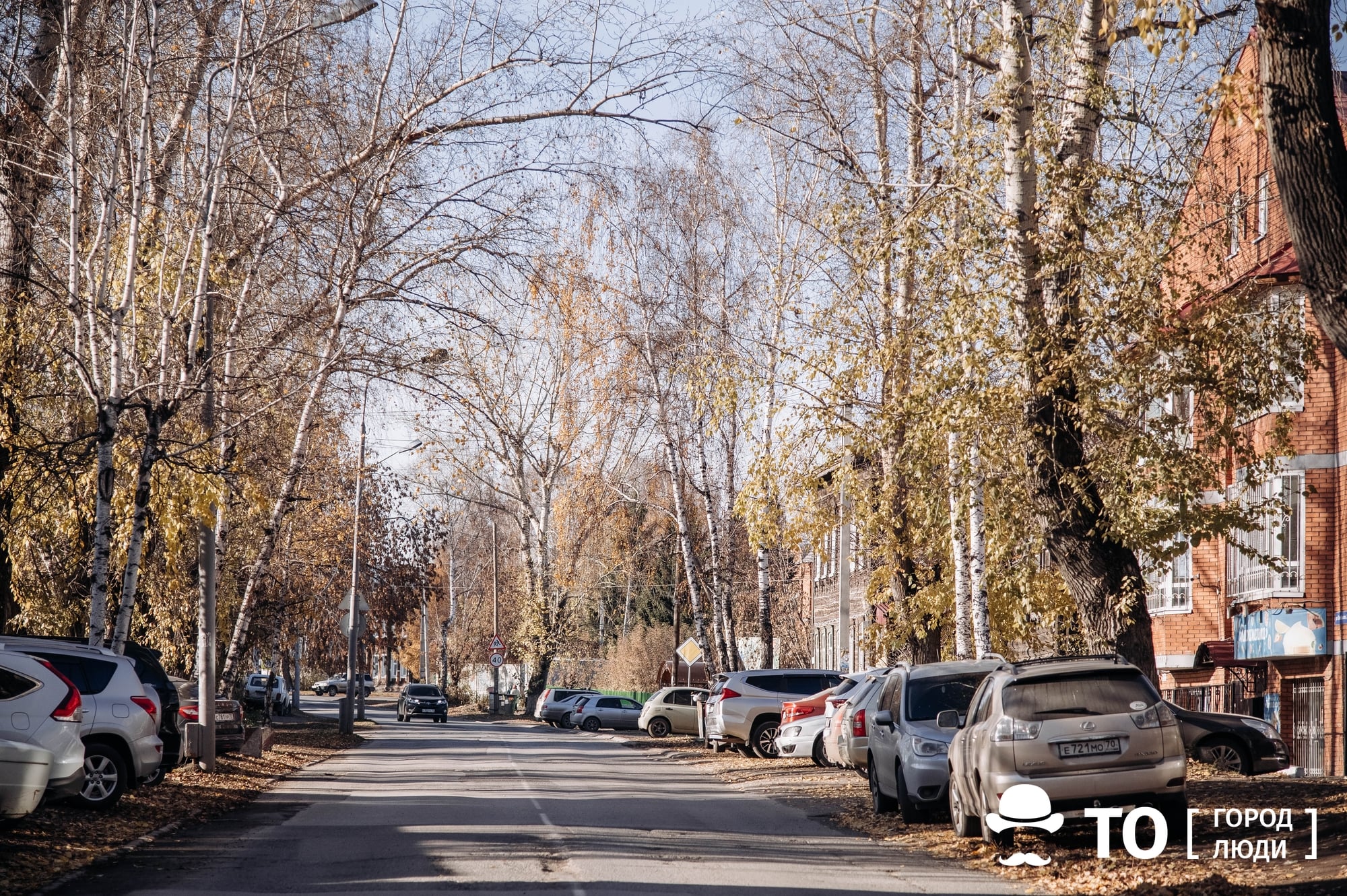 Прогулки по Томску. Вокруг Болота по Октябрьской - Город - Томский Обзор –  новости в Томске сегодня