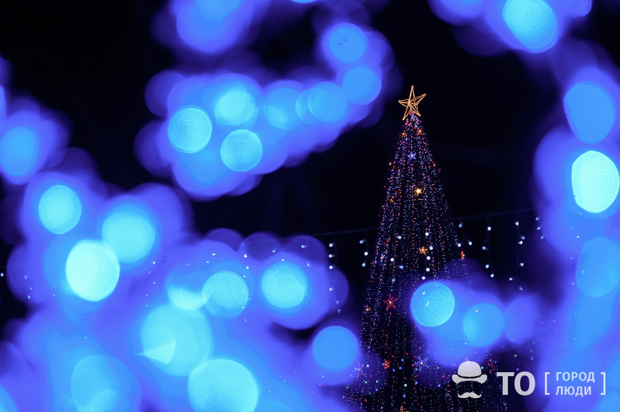 Культура в Томске, Новый год ❄, Томские новости, томск новый год елки украшения куда сходить праздник В Томске к Новому году украсят более 70 елей