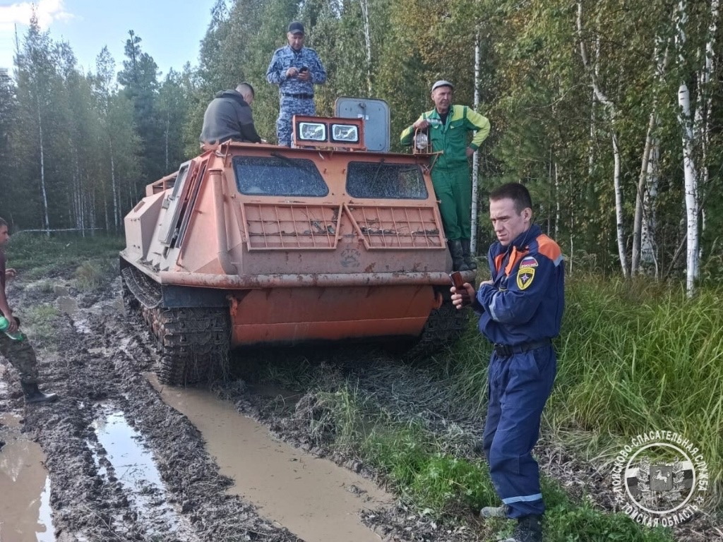 Город, Происшествия, Томские новости, поиски пропали шишкари жесть Томска происшествия интересные новости Спасатели помогли потерявшимся собирателям шишек в Томской области