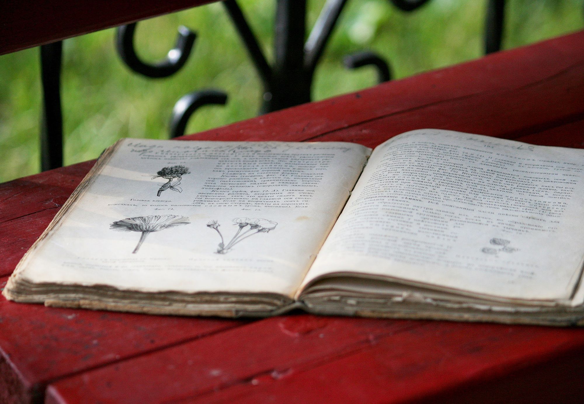 томск история саваровский люди интерсное купцы мещане дома кустарный белое озеро истории зданий Городские истории, Исторический центр, Краеведение, Люди Томска, Рассказано