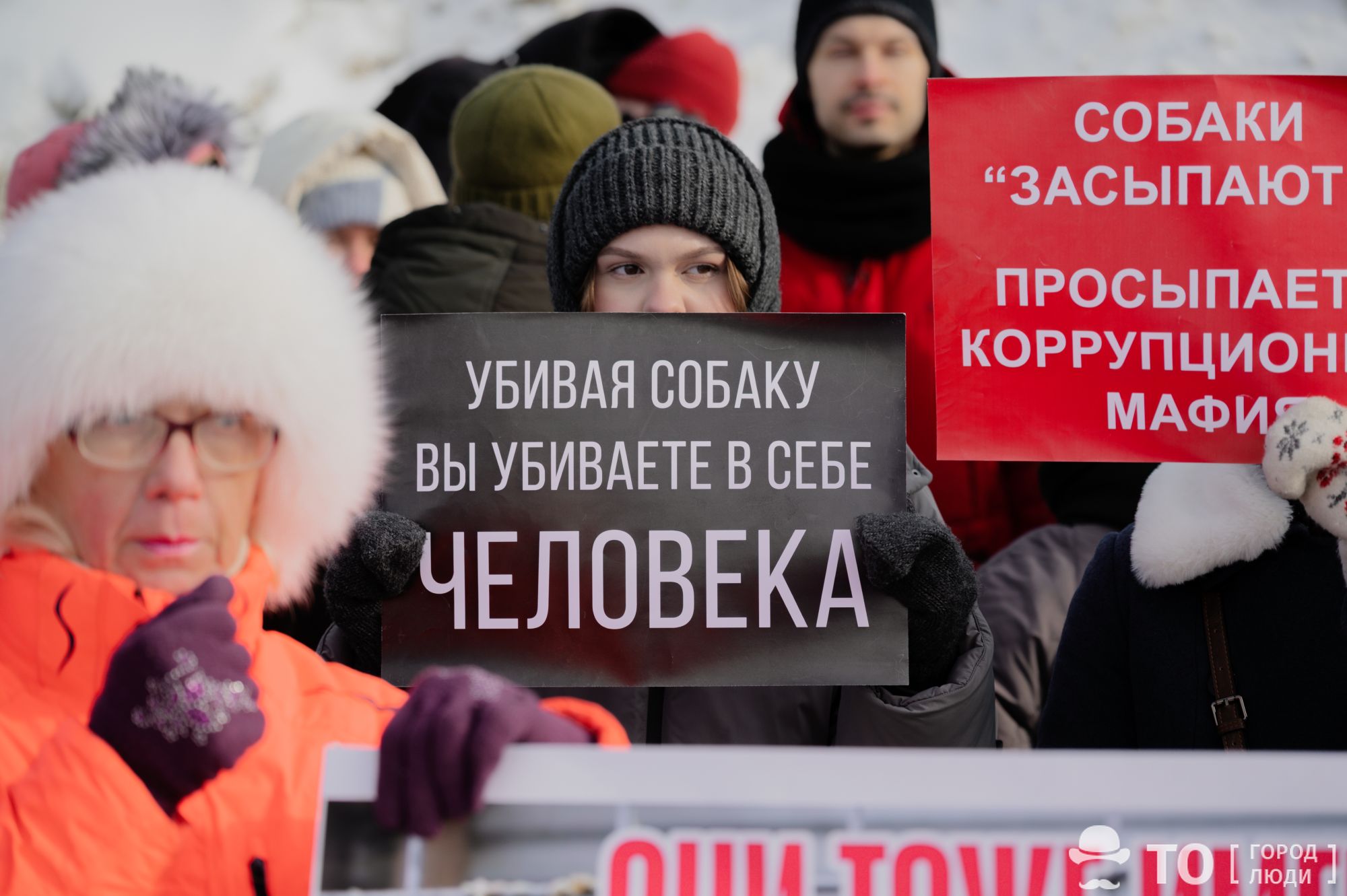 интересные новости Томска мероприятия активисты зоозащита Город, События, Томские новости