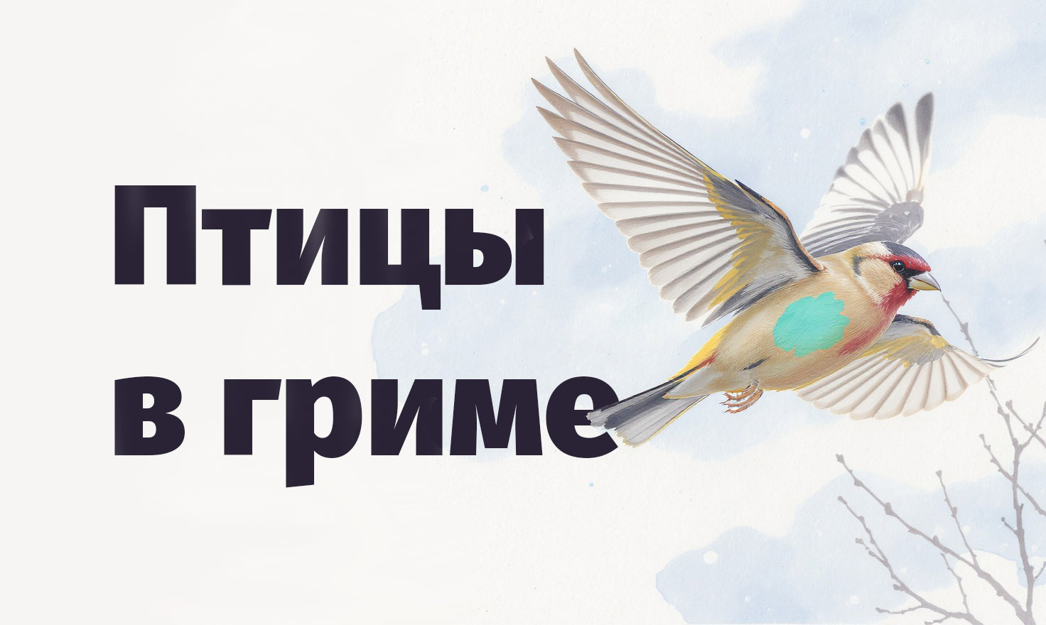 Птицы Томска орнитолог ТГУ кольцевание учёные миграция Лагерный сад Университетская роща редкие виды Город, Интервью, Люди Томска, Погода и природа, Природа, Рассказано