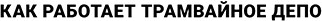 /data/images/news_2026/9/anatomy_ttu/bottom/main_header.png