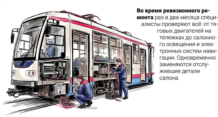 /data/images/news_2026/9/anatomy_ttu/bottom/top_right.png