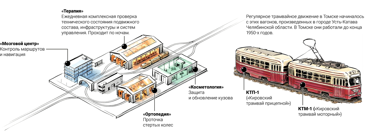 /data/images/news_2026/9/anatomy_ttu/top/top_bottom.png