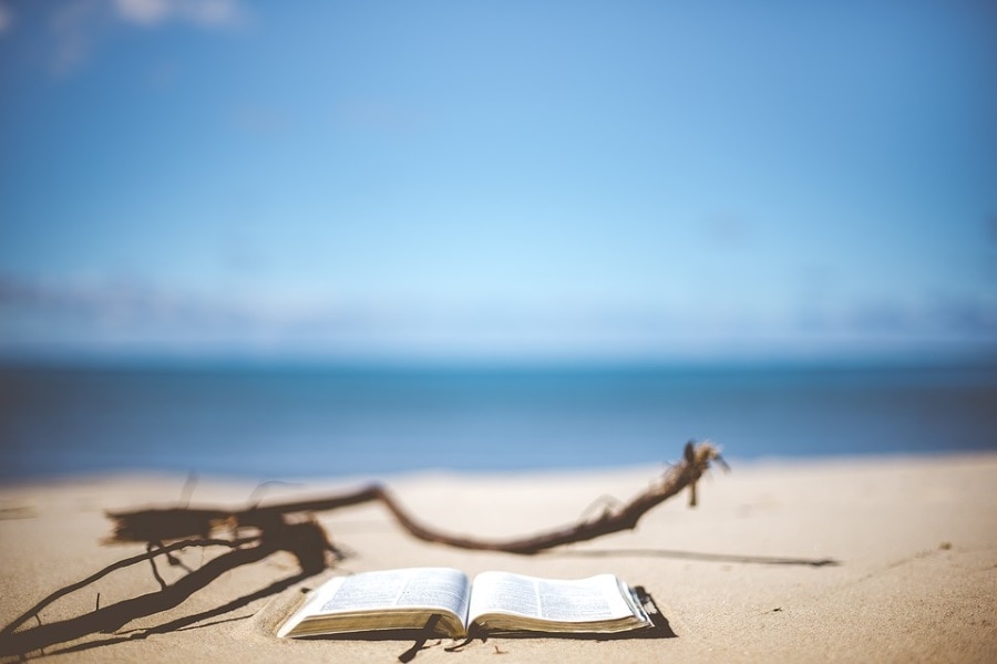 Отдых, Томские новости, пляж библиотека книговорот что почитать летом в отпуске Завтра на главном томском пляже откроется Библиотека на песке