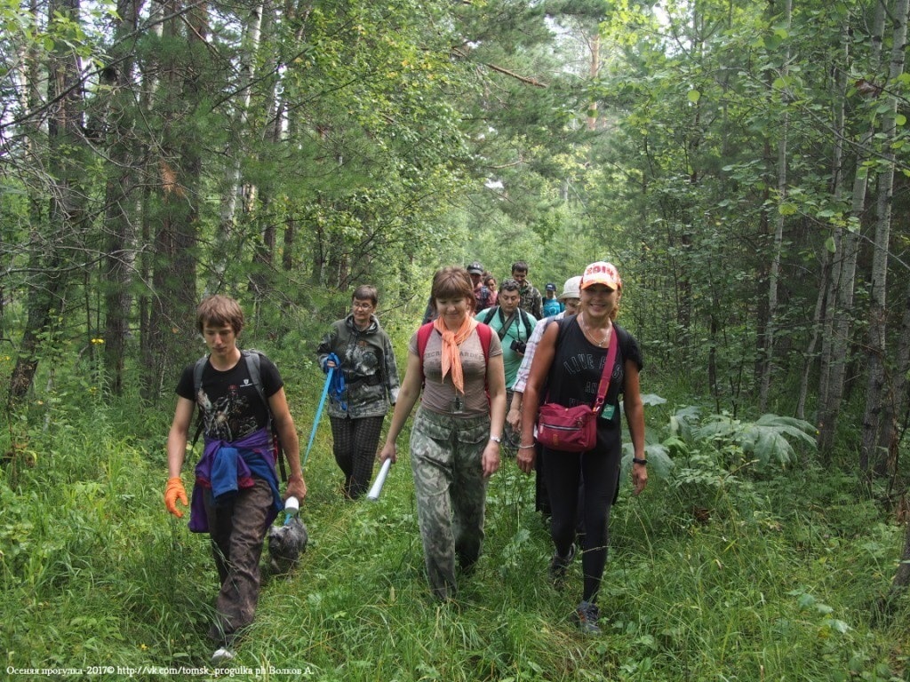 Сценарий туристического похода в лес для детей подготовительной группы 