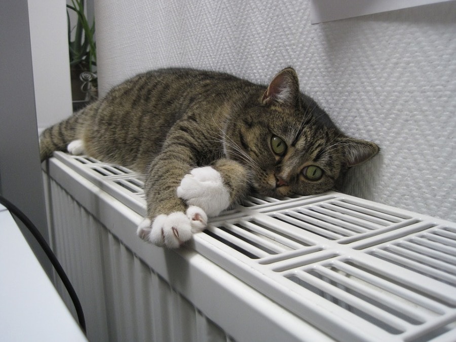 ЖКХ, Томские новости, администрация УК тепло дали тепло задержка тепла отопление Томичам, остающимся без тепла, предлагают обратиться в УК или администрацию