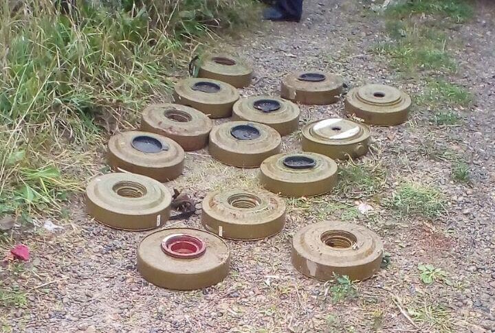 Происшествия, Томские новости, противотанковая мина нашел бомбу в Томске бомба боеприпасы Томич нашел 14 учебных мин в лесу
