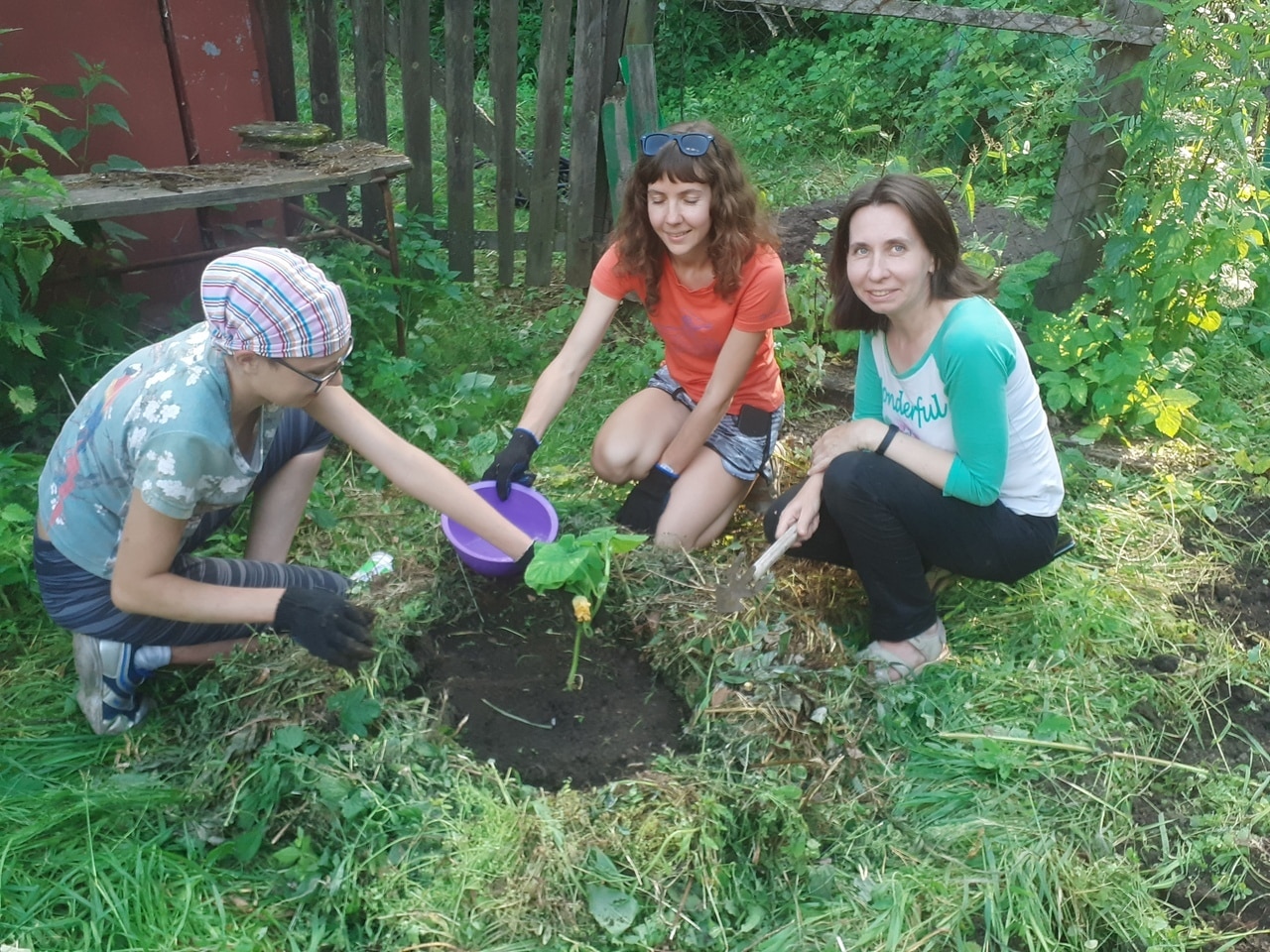 Огороде новости. Огороде новости. Огороде новости. Грядка. Общественный огород в парке.