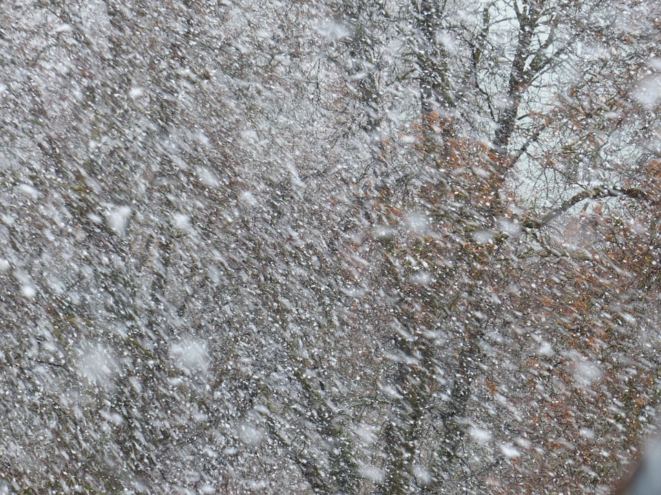 Происшествия, Томские новости, снег дождь ветер прогноз погоды погода на 8 марта международный женский день куда сходить Снег и сильный ветер ожидают томичей 8 марта