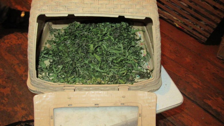 Томский Обзор, новости, Мировые новости наркотики травка конопля марихуана Жительница Хакасии сушила коноплю в духовке и хранила в хлебнице