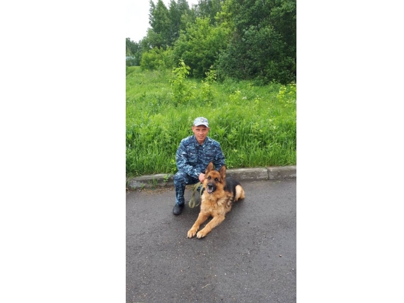 Происшествия, Томские новости, служебная собака пес помощь Служебный пес Гром помог найти украденные вещи в Томском районе