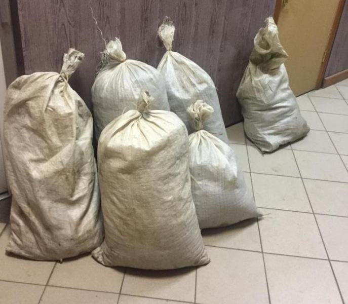 Криминал, Происшествия, Томские новости, марихуана наркотики запрещенные вещества В Томской области задержали мужчину с 17 кг марихуаны