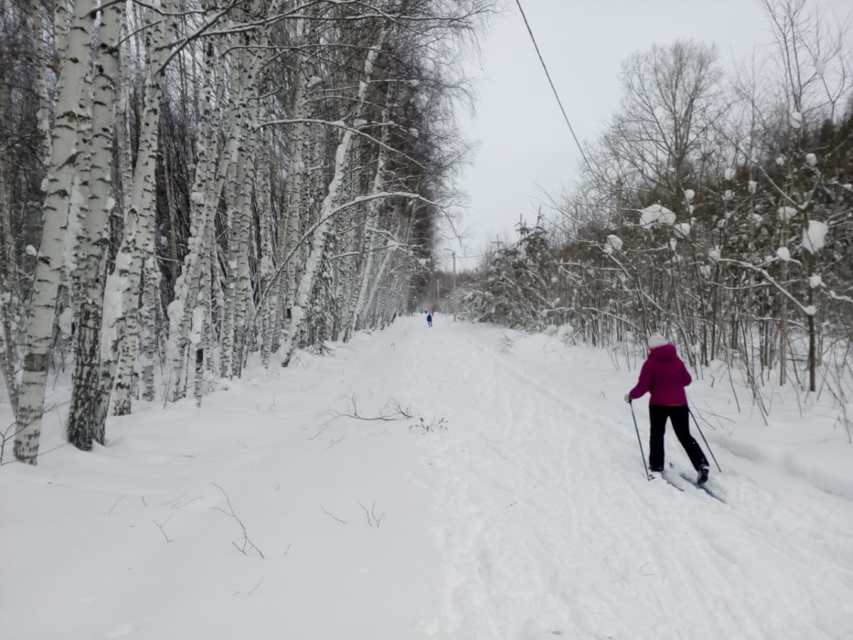 Отдых, Спорт в Томске, Томские новости, лыжная трасса освещенные трассы покататься на лыжах где В Томске заработали освещенные лыжные трассы