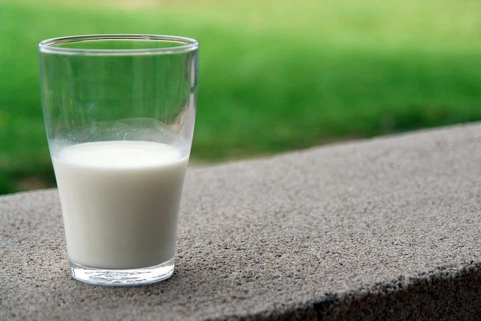 Безопасность, Еда, Томские новости, россельхознадзор молоко сыр подделки подделывают молоко Более половины образцов молочной продукции, проверенной томским Россельхознадзором, оказались фальсифицированы