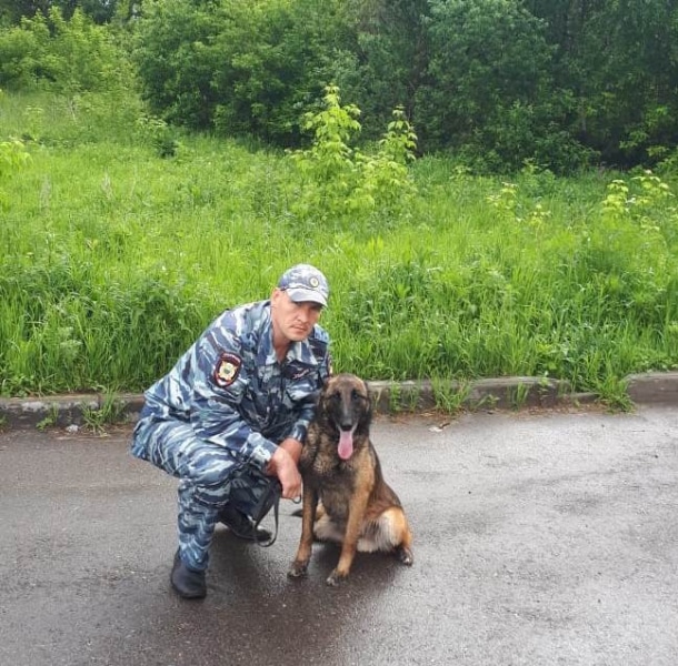 Происшествия, Томские новости, служебная собака пропал человек розыск пропавших Служебный пёс Вархат нашел потерявшегося ребенка в Томске