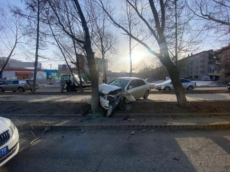 Происшествия, Томские новости, въехал врезался авария ДТП жесть Томска интересные новости Иномарка въехала в дерево в Томске